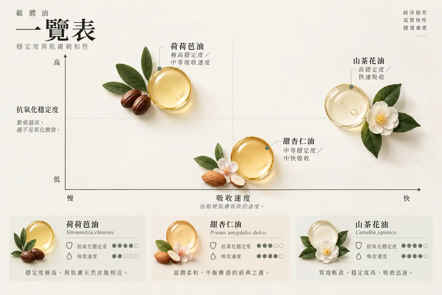 不同基底油的穩定性與膚感比較