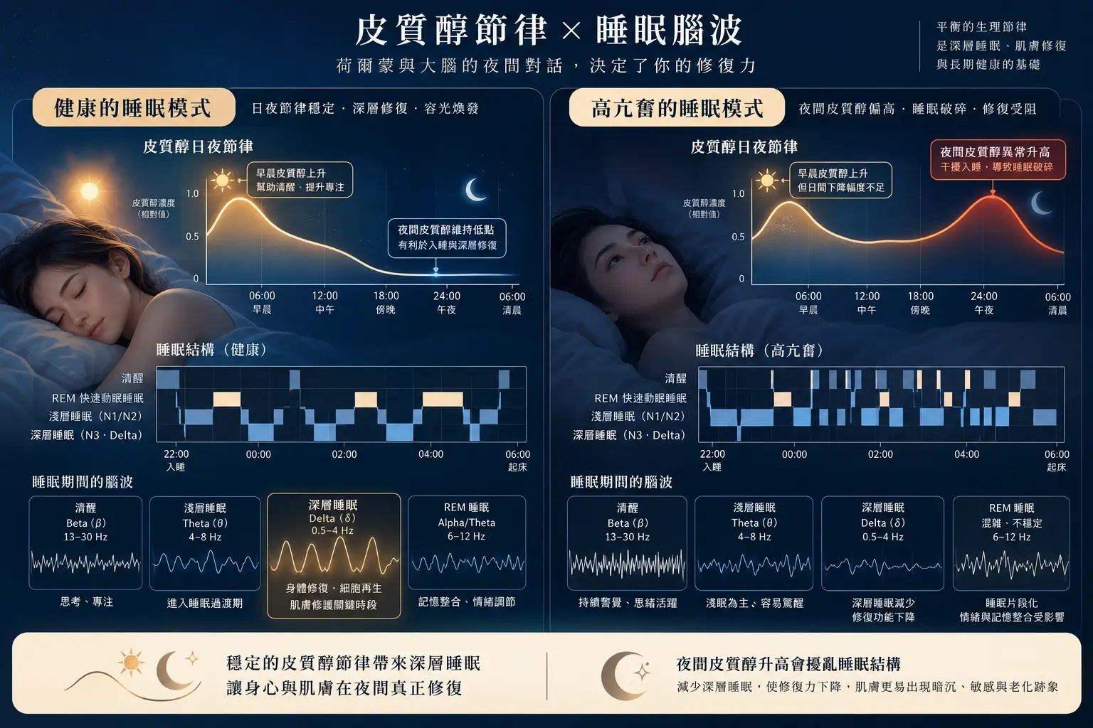 皮質醇日夜節律與不同睡眠階段的科普示意