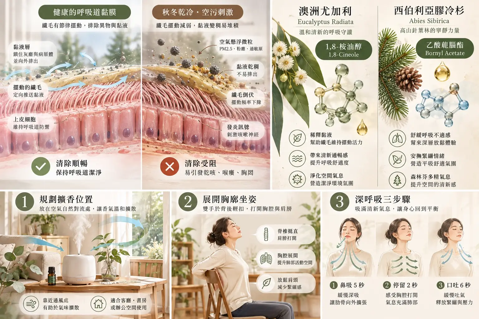 內文圖 03｜通風、居家擺位與放鬆呼吸